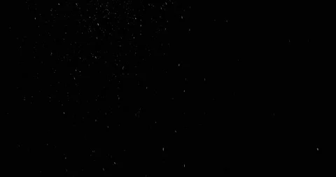 WindySubtle. Isolated snow falling on black background Stock Footage 238061261