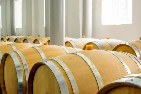 Wine aging workshop Stock Photos