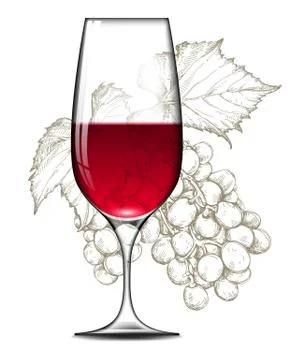 Wine and grape Stock Illustration
