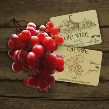 Wine and grapevine Illustrazione stock