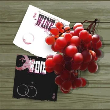 Wine and grapevine Stock Illustration