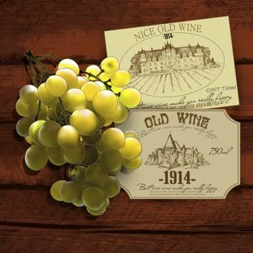 Wine and grapevine Stock Illustration