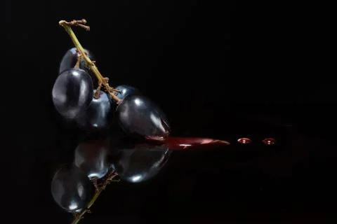 Wine and viticulture Stock Photos