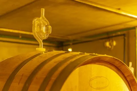 Wine barrel with fermentation lock in cellar Stock Photos