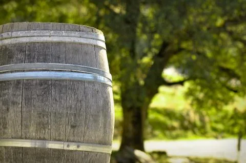 Wine barrel Foto stock