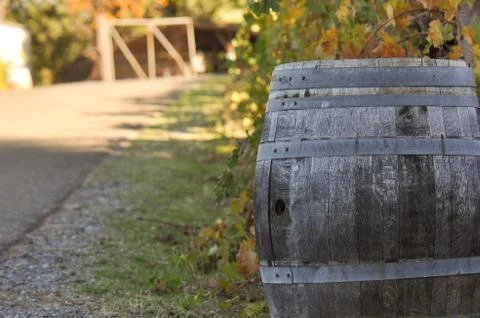 Wine barrel 스톡 사진