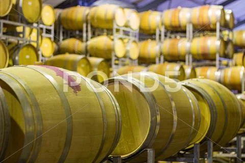 Wine barrel Stock Photos