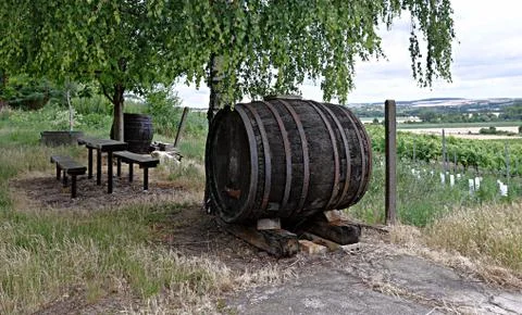 Wine barrel Stock Photos
