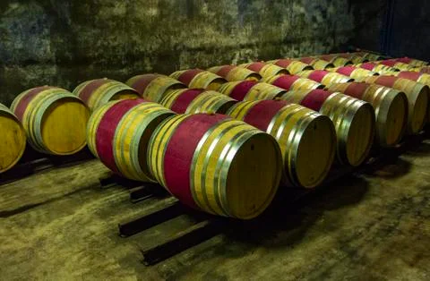 Wine barrel. Stock Photos