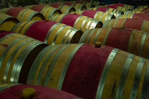 Wine barrel. Stock Photos