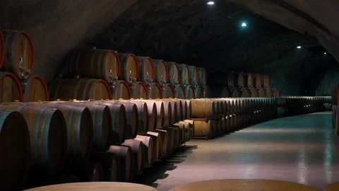 Wine barrels in the basement of a vineyard Video stock 186981029