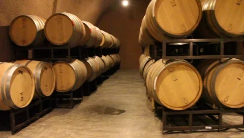 Wine Barrels in Cave 5460 Stock Footage 1808335