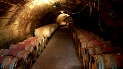 Wine barrels in cellar Stock Footage 24897161