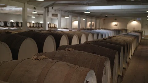Wine barrels in cellar Video stock 93677995
