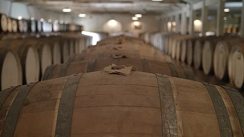 Wine barrels in cellar Stock Footage
