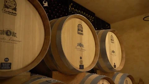 Wine Barrels in cellar Vídeo Stock 197630807