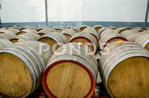 Wine barrels in cellar Stock Photos