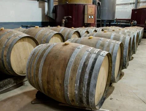 Wine barrels in cellar Stock Photos