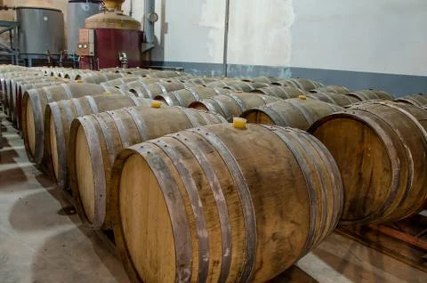 Wine barrels in cellar Stock Photos