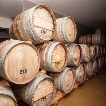 Wine barrels in cellar. Stock Photos
