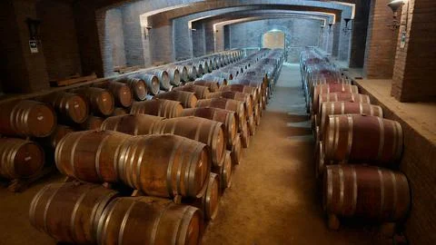 Wine barrels in the cellar Stock Photos