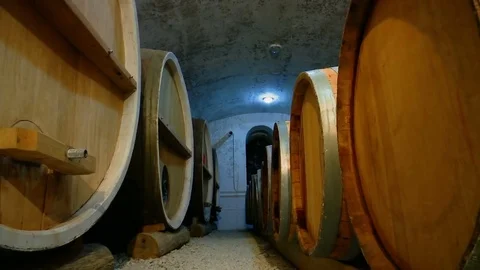 Wine Barrels in Cellar of the Winery Stock Footage 72835197