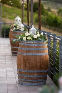 Wine barrels, decorated with flowers for a wedding Stock Photos
