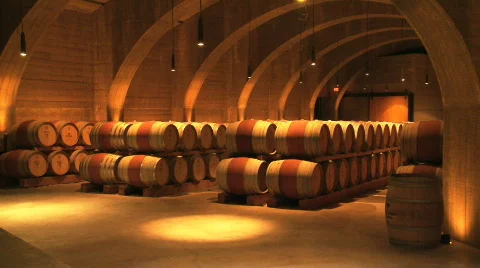 Wine Barrels Stock Footage 503861