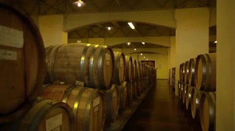 Wine barrels Stock Footage 43042411