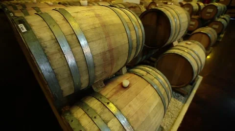 Wine barrels Stock Footage 43042413