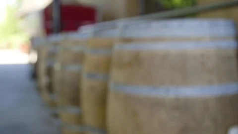 Wine Barrels Stock Footage 78380710