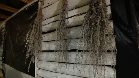 Wine barrels Stock Footage 112979024