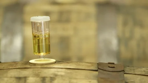 Wine barrels Video stock 121268547