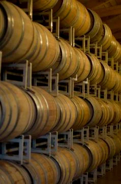 Wine barrels Foto stock