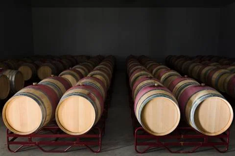 Wine barrels Stock Photos