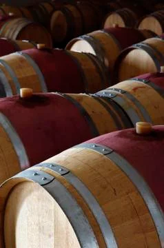 Wine barrels Stock Photos