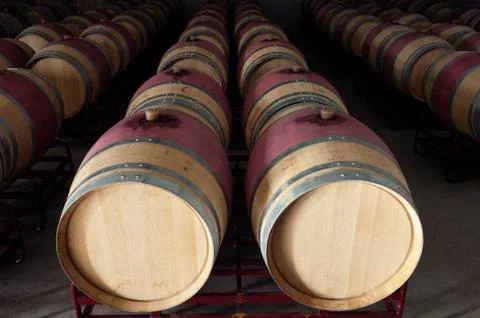 Wine barrels Stock Photos
