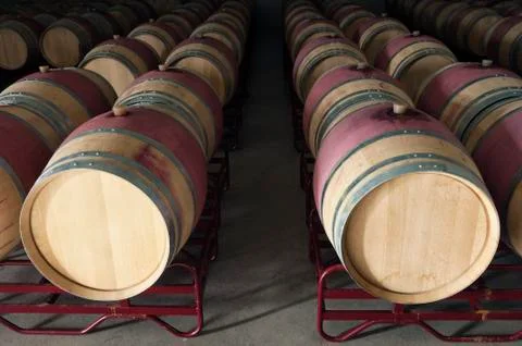 Wine barrels Stock Photos