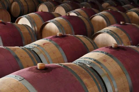 Wine barrels Stock Photos