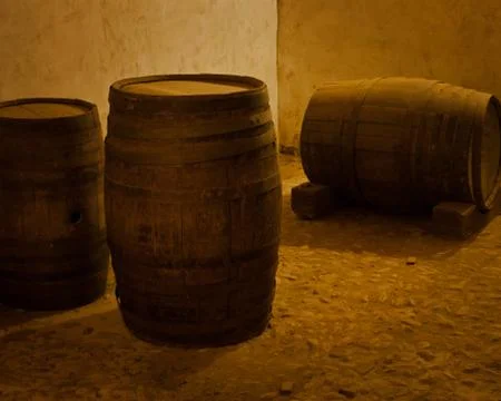 Wine barrels Stock Photos