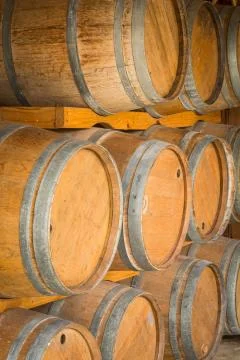 Wine barrels Stock Photos