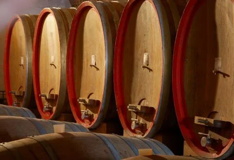 Wine barrels Stock Photos