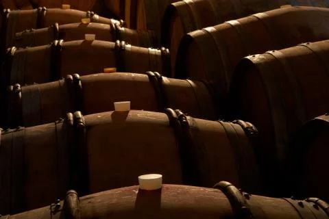 Wine barrels Stock Photos