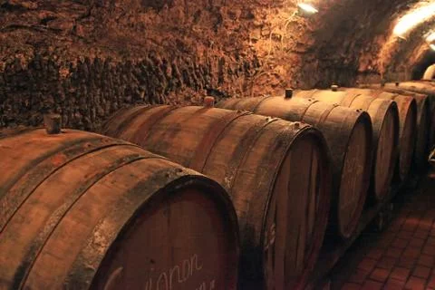 Wine barrels Stock Photos