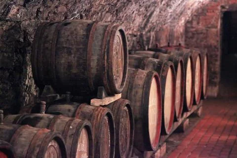 Wine barrels Stock Photos