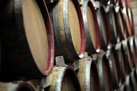 Wine barrels Stock Photos