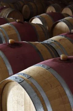 Wine barrels Stock Photos