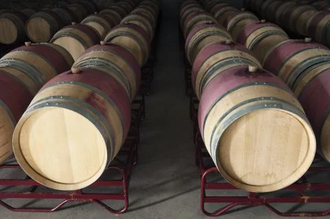 Wine barrels Stock Photos