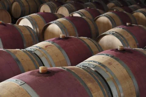 Wine barrels Stock Photos