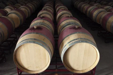 Wine barrels Stock Photos